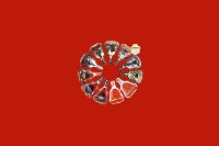 北京顺义区回收红酒